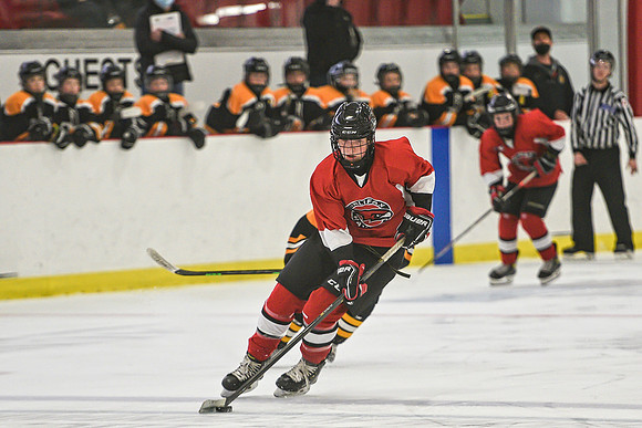 DSC_2844 copy