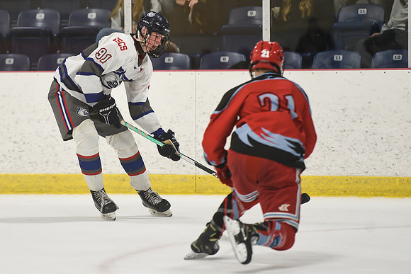 TIMBER CUP-208