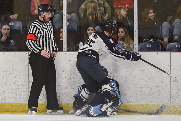 TIMBER CUP-211