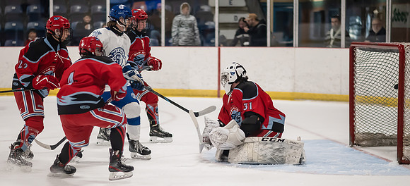 TIMBER CUP-58