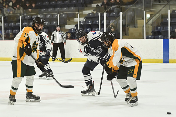 TIMBER CUP-153