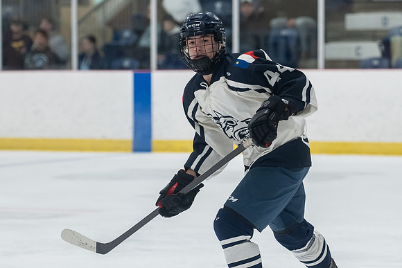TIMBER CUP-31