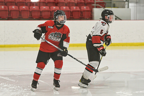 DSC_4194 copy