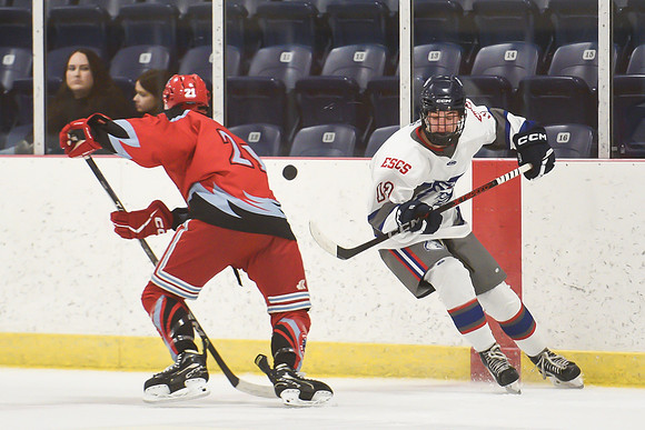 TIMBER CUP-8