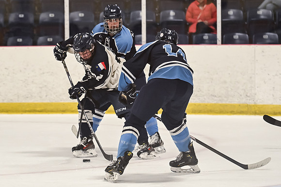 TIMBER CUP-55