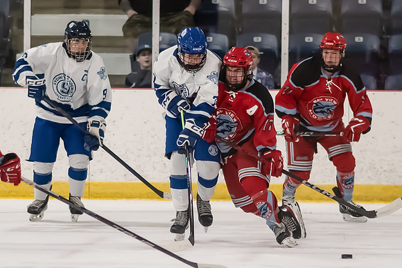 TIMBER CUP-62