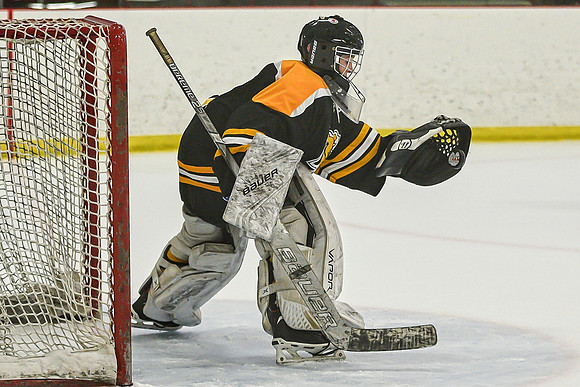 DSC_3140 copy