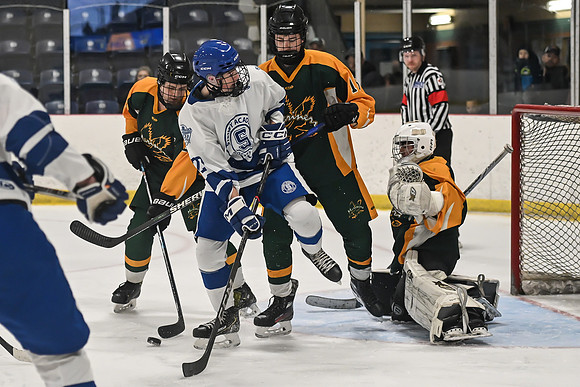 TIMBER CUP-71