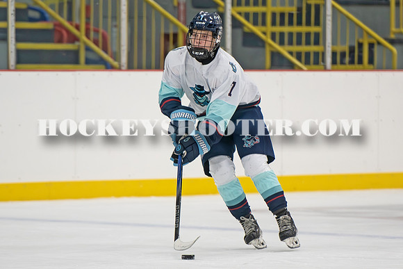 HURRICANES-138 copy