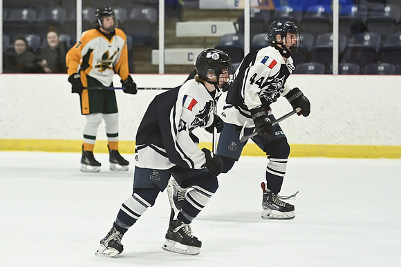 TIMBER CUP-139