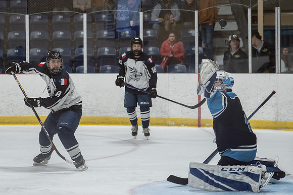TIMBER CUP-23