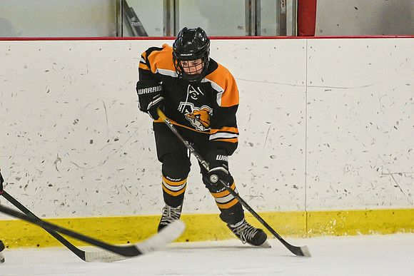 DSC_2931 copy