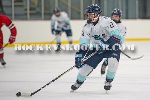 HURRICANES-183 copy