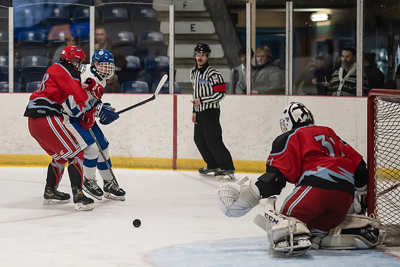 TIMBER CUP-19