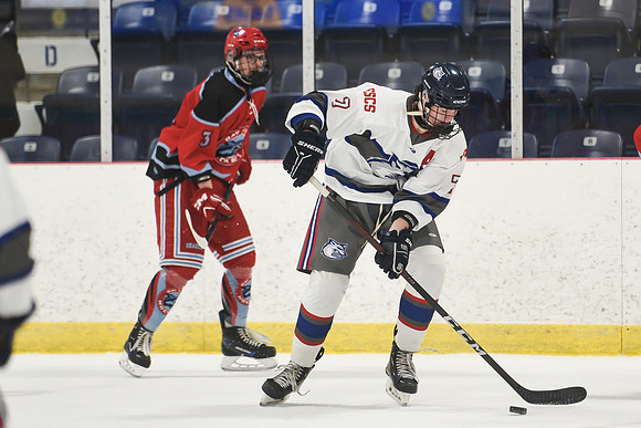 TIMBER CUP-2