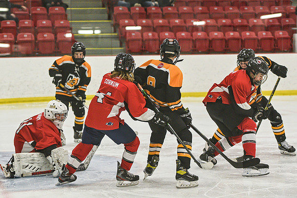 DSC_3373 copy