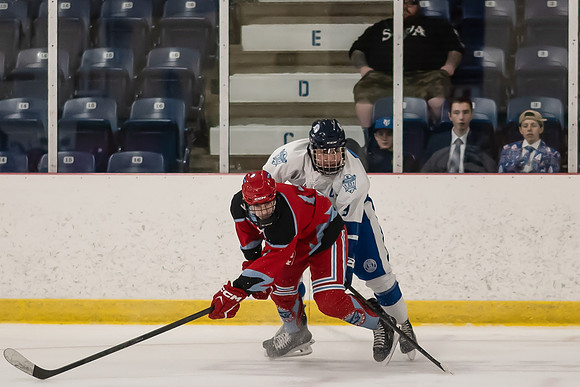 TIMBER CUP-12