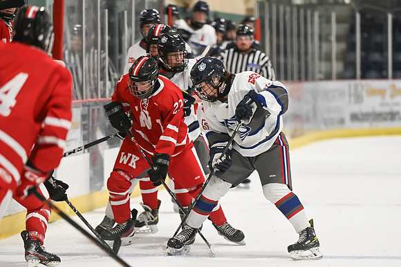 TIMBER CUP-73