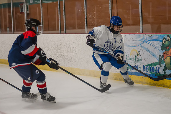 TIMBER CUP-51