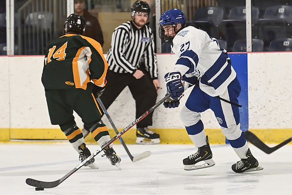 TIMBER CUP-17