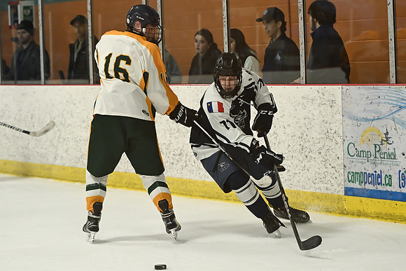 TIMBER CUP-158