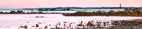 Drowned Forest banner