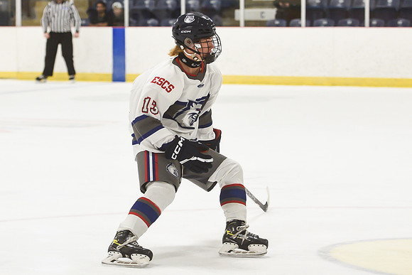 TIMBER CUP-5