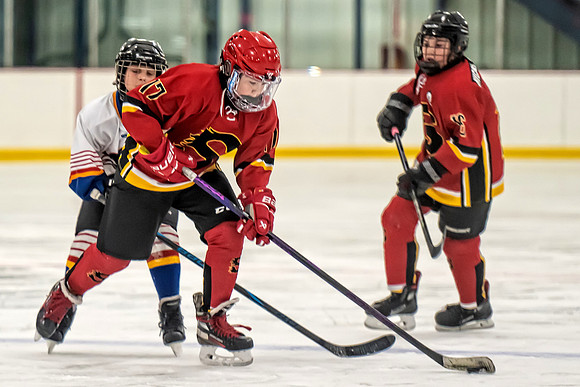 FLAMES VS CLARE-DIGBY-91 copy